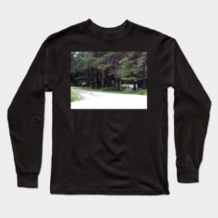 New Forest Ponies Long Sleeve T-Shirt